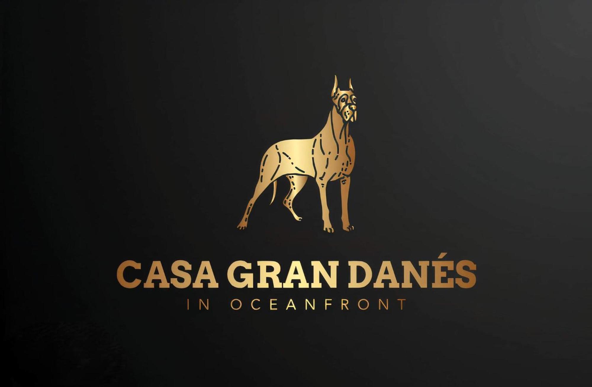 サンタクルスデテネリフェCasa Gran Danesアパートメント エクステリア 写真